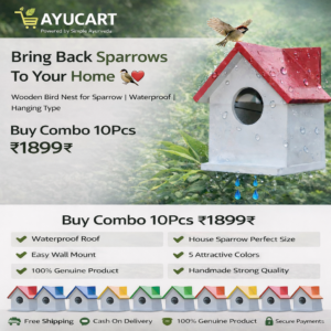 sparrow nest house 5pcs combo pack